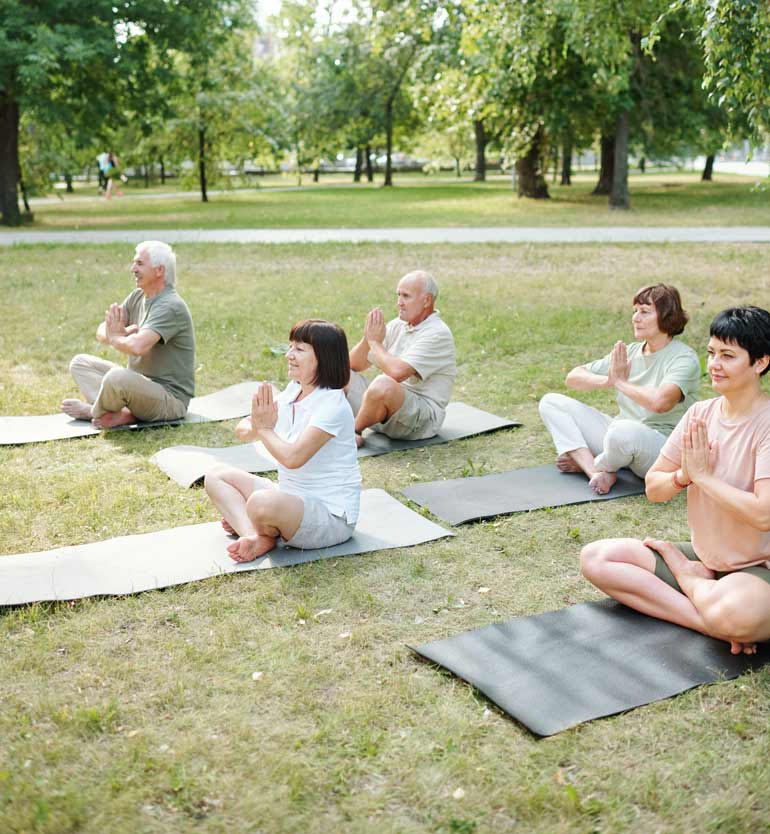 senior-yoga A group of seniors practicing yoga on mats in a green park during a sunny day.